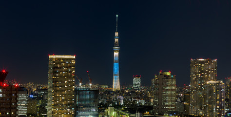 Fototapeta na wymiar night view,Tokyo, Japan.