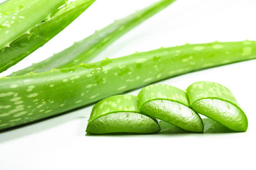 Aloe