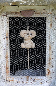 Fenster