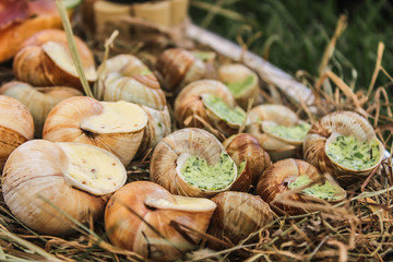 Stuffed snails
