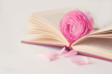 Open book with flower