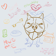 Doodle drawing of dog and accessory
