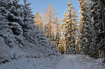 winterlandschaft