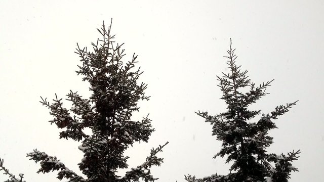 hiver
