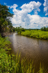 Fototapeta premium Marsh in Tomoka State Park, Florida.