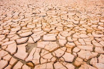 cracked soil during drought