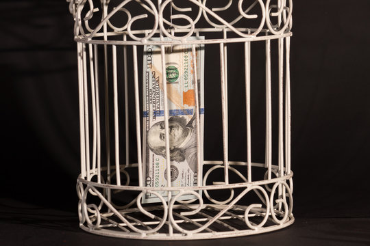 White birdcage with US Dollar inside