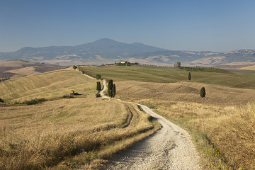 Obraz premium Val D'orcia,Stradina tra la campagna