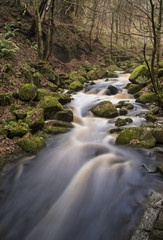 Autumn Fall forest landscape stream flowing through golden vibra