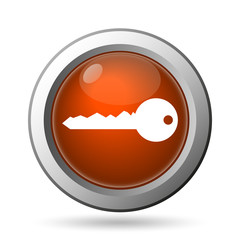 Key icon