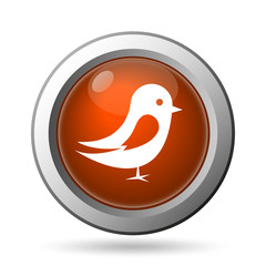 Bird icon