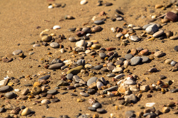 Sand and Shells