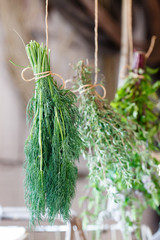 fresh herbs