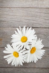 Daisy camomile flowers on wooden table