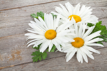 Obraz premium Daisy camomile flowers on wooden table