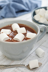 Fototapeta na wymiar Hot chocolate and marshmallows