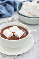 Fototapeta na wymiar Mug with hot chocolate