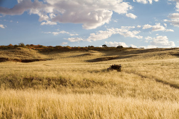Safari in Namibia