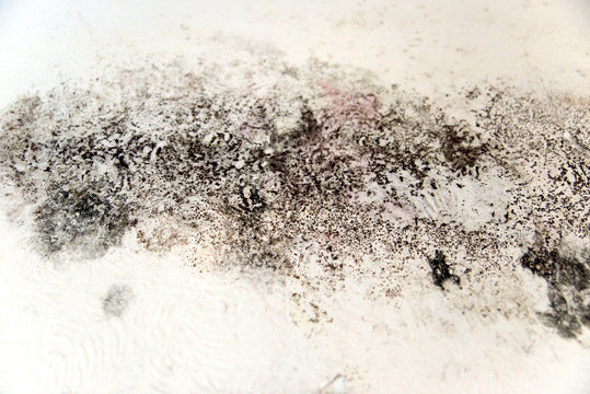 Schimmel an der Wand Stock Photo | Adobe Stock