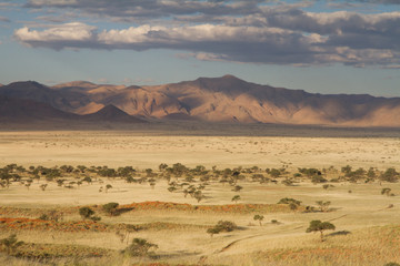 Namibian landscape