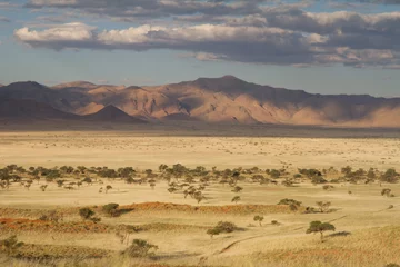 Zelfklevend Fotobehang Namibian landscape © Morenovel