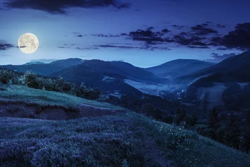 Fototapeten flowers on hillside meadow in mountain at night © Pellinni