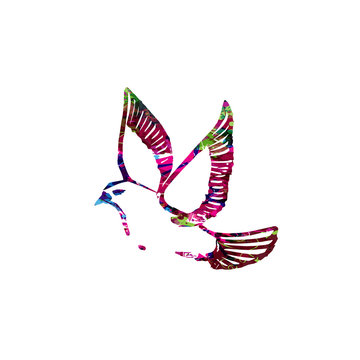 Colorful vector dove design