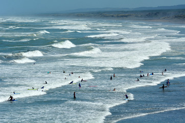 Surfing in Muriwai beach - New Zealand