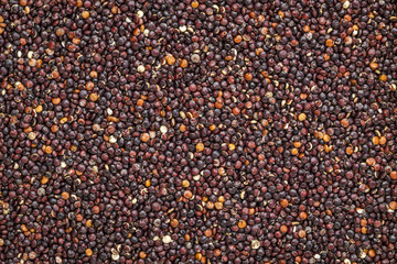 black quinoa grain
