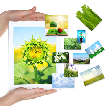 Tablet PC in hands and images of nature objects isolated