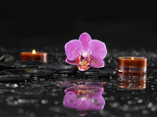 Still life with pink orchid with therapy stones and two candle