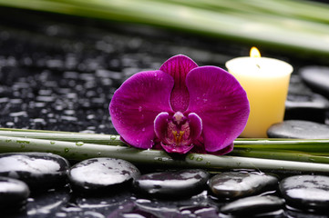 red orchid and candle with set of plant stem