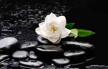 Fotobehang still life with gardenia on black pebbles © Mee Ting