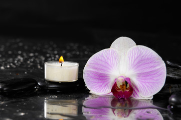 Obraz na płótnie Canvas orchid with white candle and therapy stones reflection