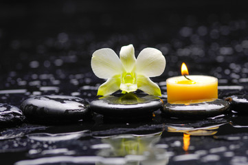 orchid with candle and therapy stones reflection