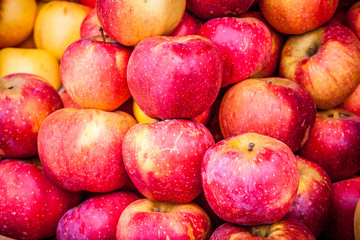 Apples