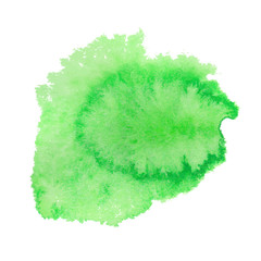 Green watercolor spot. Vector illustration.