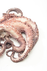 Pulpo cocido