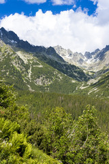 Fototapeta na wymiar Mengusovska Valley, Vysoke Tatry (High Tatras), Slovakia