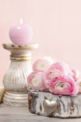 Pink persian buttercup flowers (ranunculus)