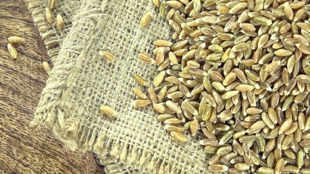 Green Spelt (not loopable 4K UHD close-up footage)