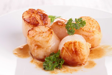 scallop