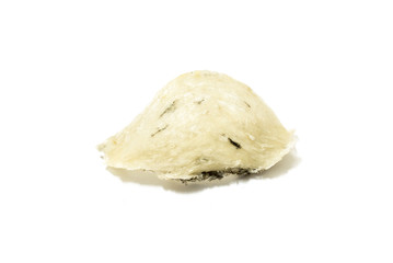 Edible bird's nest close up