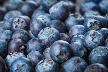 Blueberries background