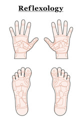 Foot Hand Reflexology Outline