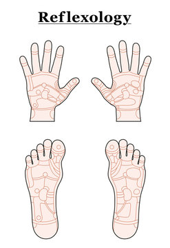 Foot Hand Reflexology Outline