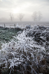 Hard frost over fields in the Berkshire countryside