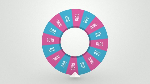 wheel of fortune spins draws child's gender - girl