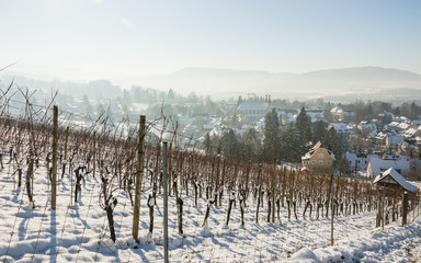 Fototapeta na wymiar Arlesheim, Dorf, Weinberg, Dom, Kirche, Winter, Schweiz