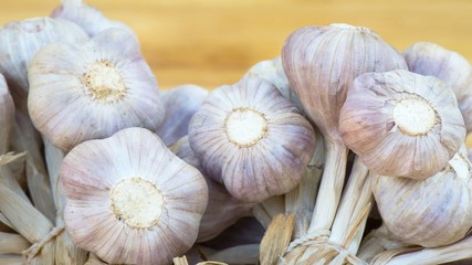 Garlic herbal supplement pills